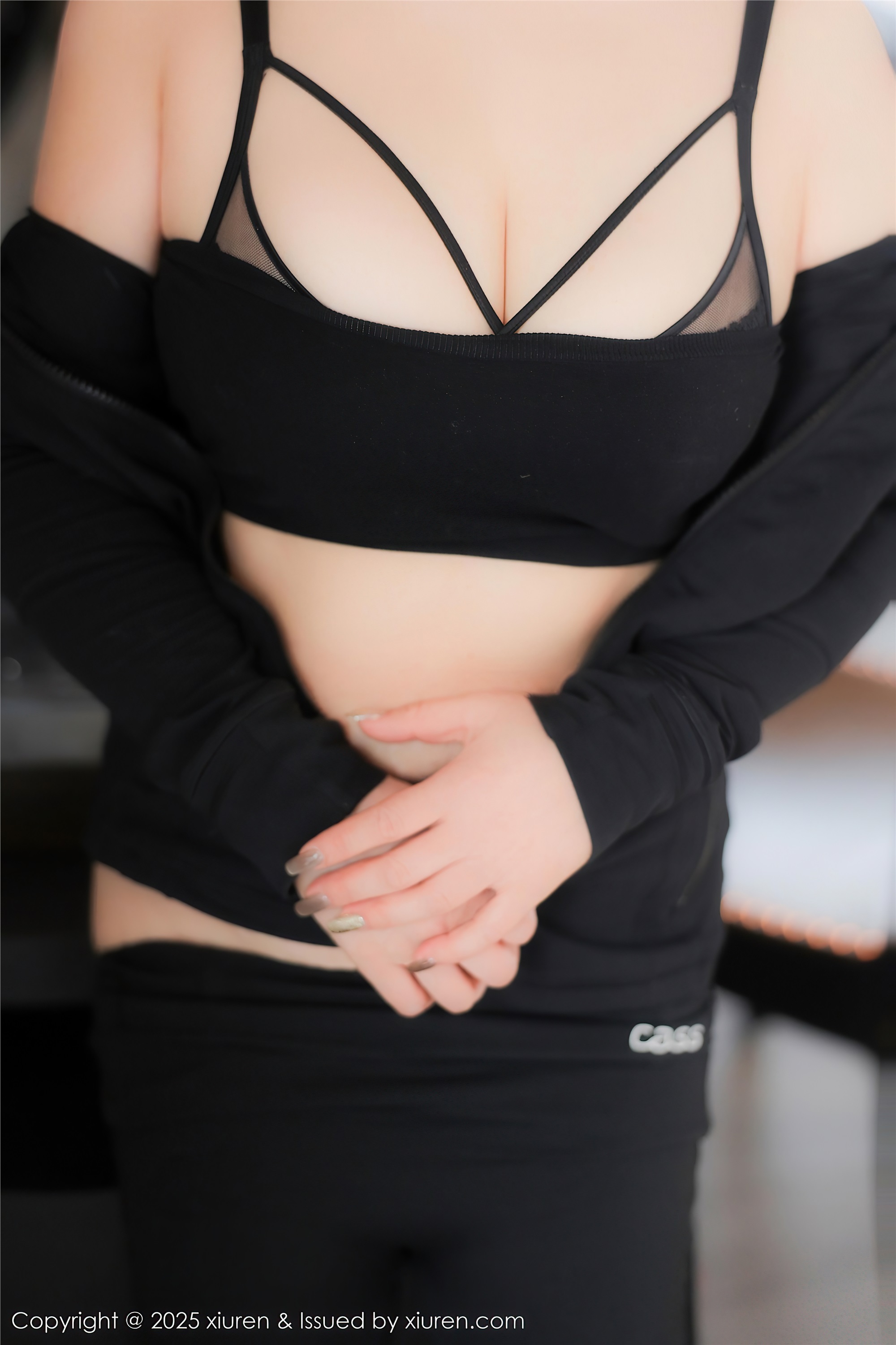 Xiuren秀人网 2025.01.02 NO.9694 M0nica